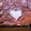 a spring day a spring day