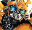 bumblebee bumblebee